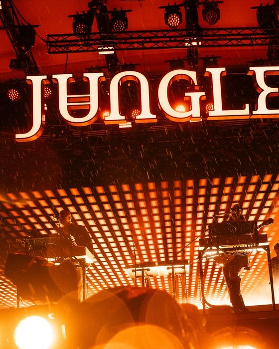 Jungle