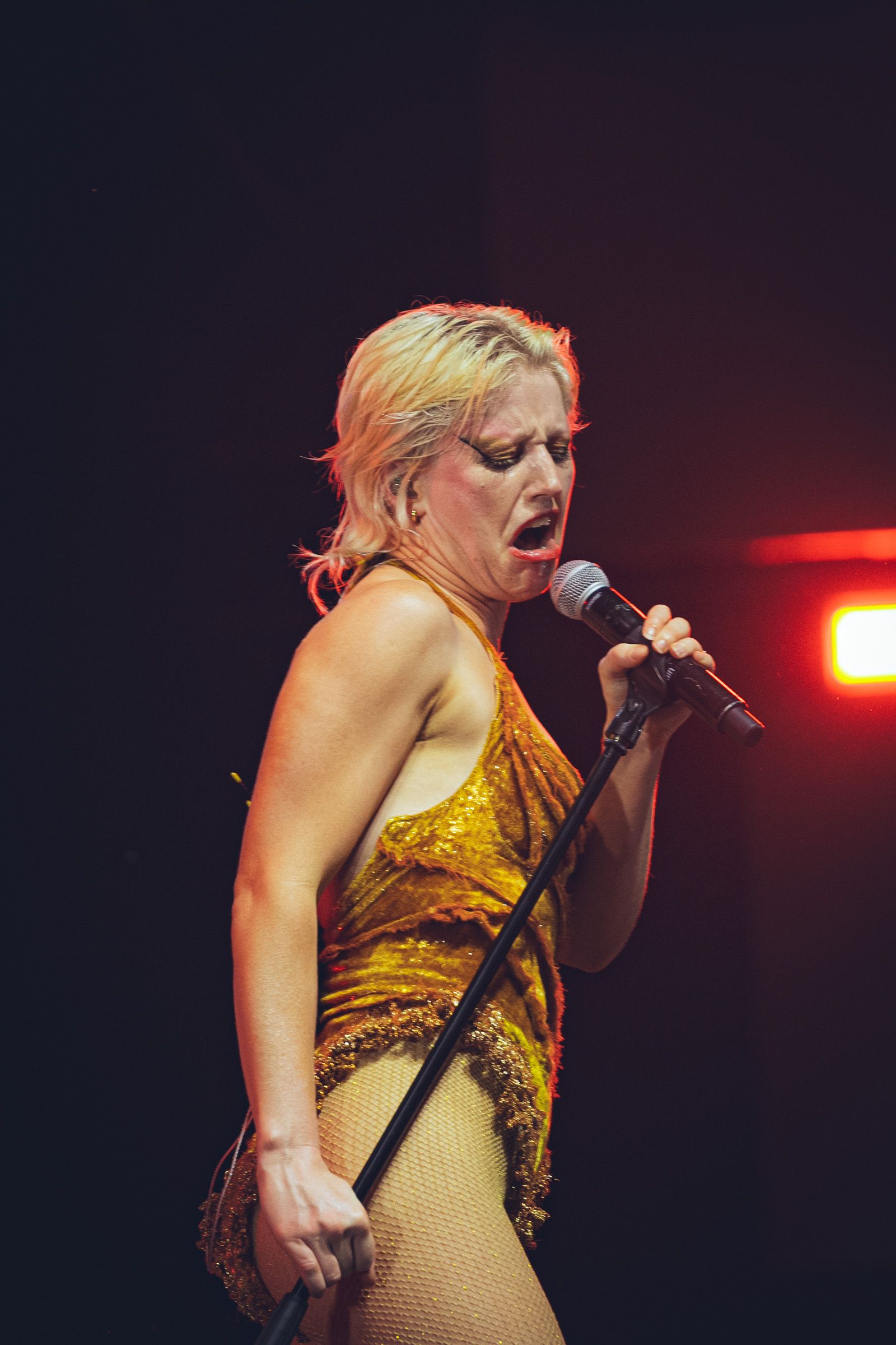 Amyl and the Sniffers