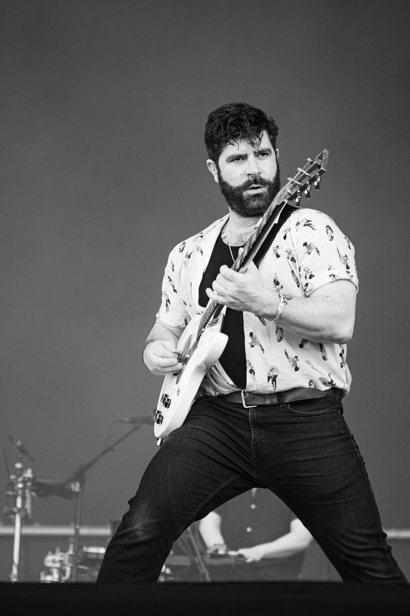 Foals