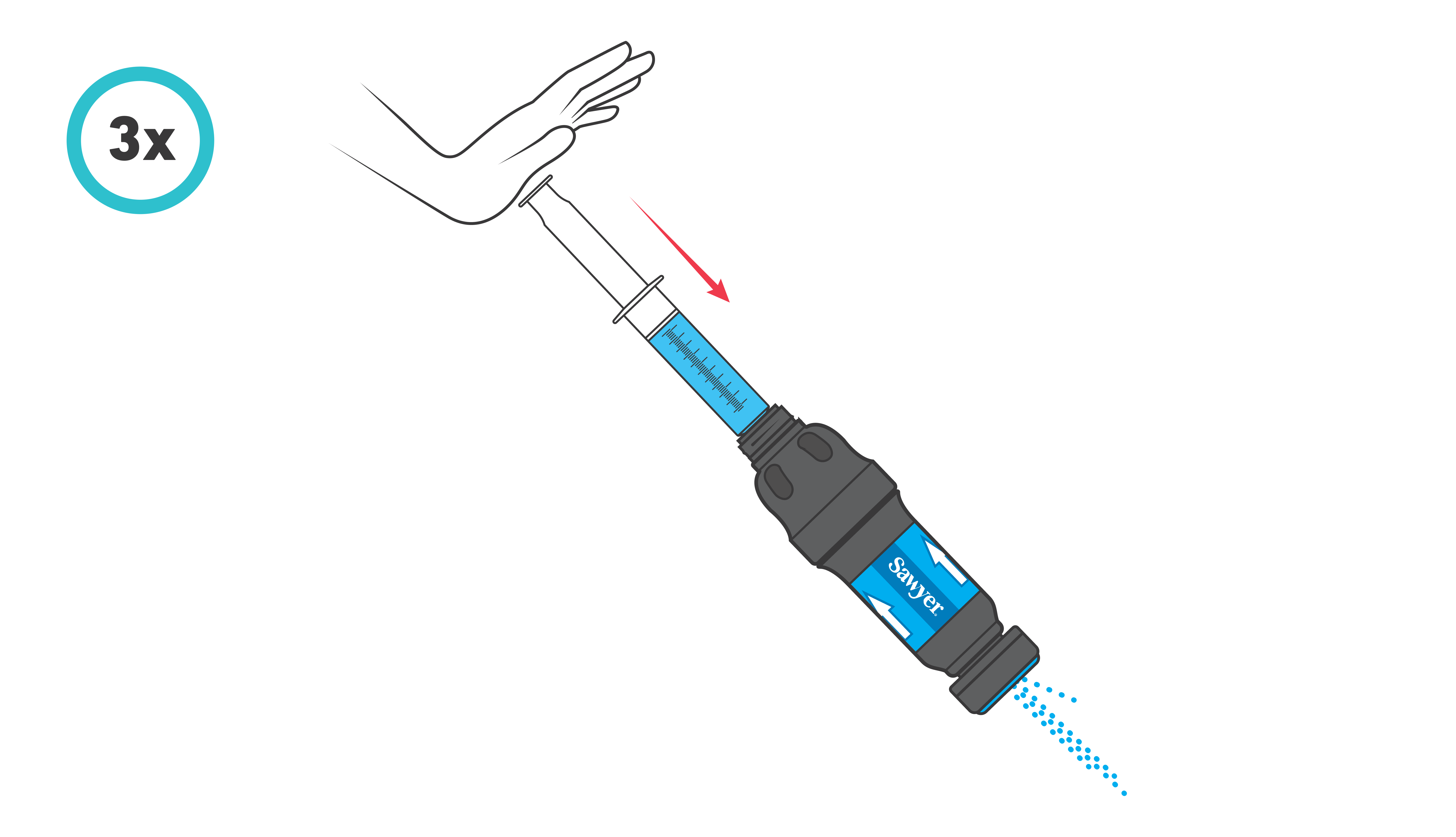 Insert the plunger and backwash the filter