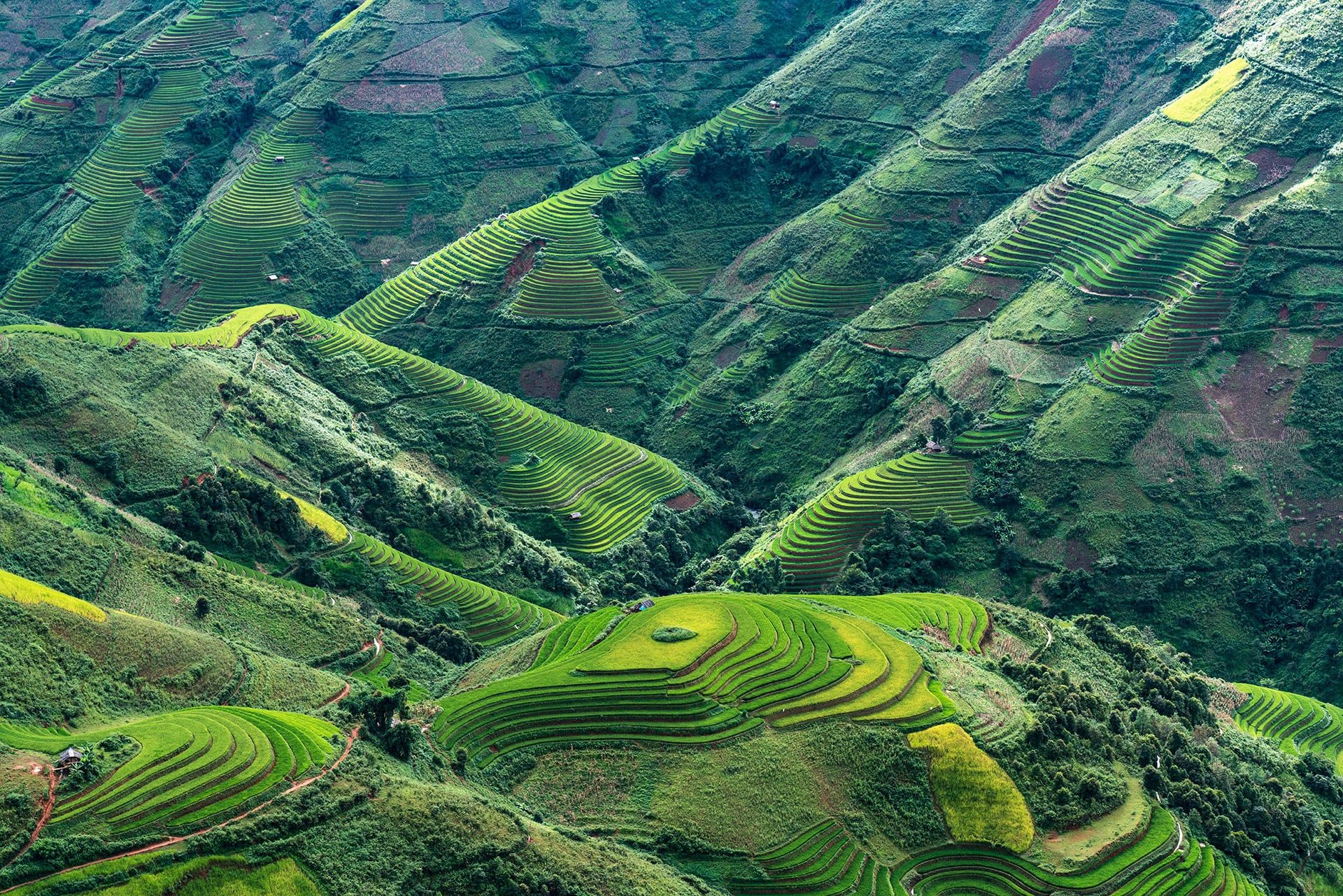 KW Vietnam image