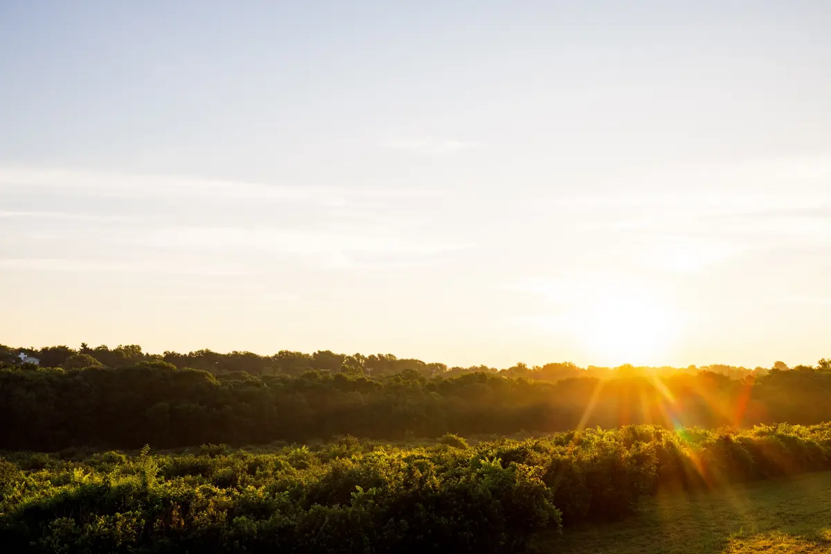 Harris Prairie at Arbor Day Farm