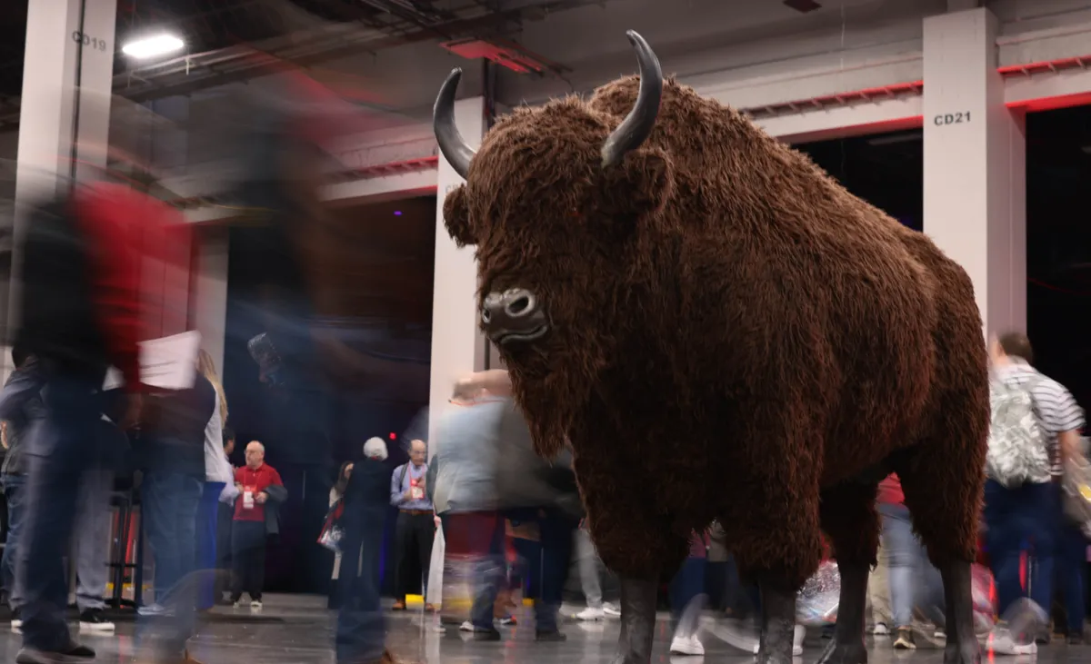 Timelapse motion shot of Charge the Buffalo