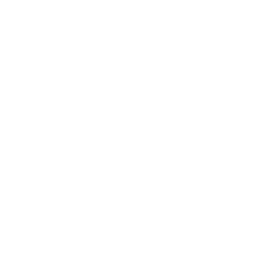 Agent Buddi