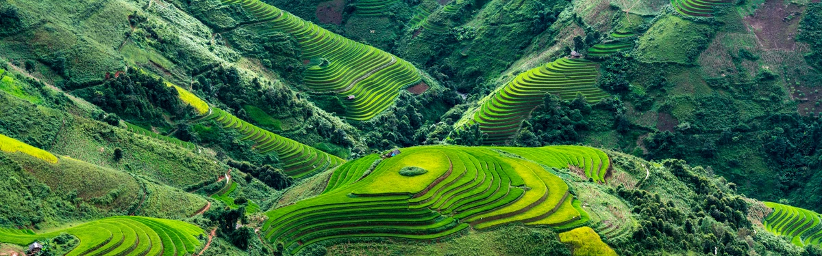 Keller Williams Takes More Territory in Asia