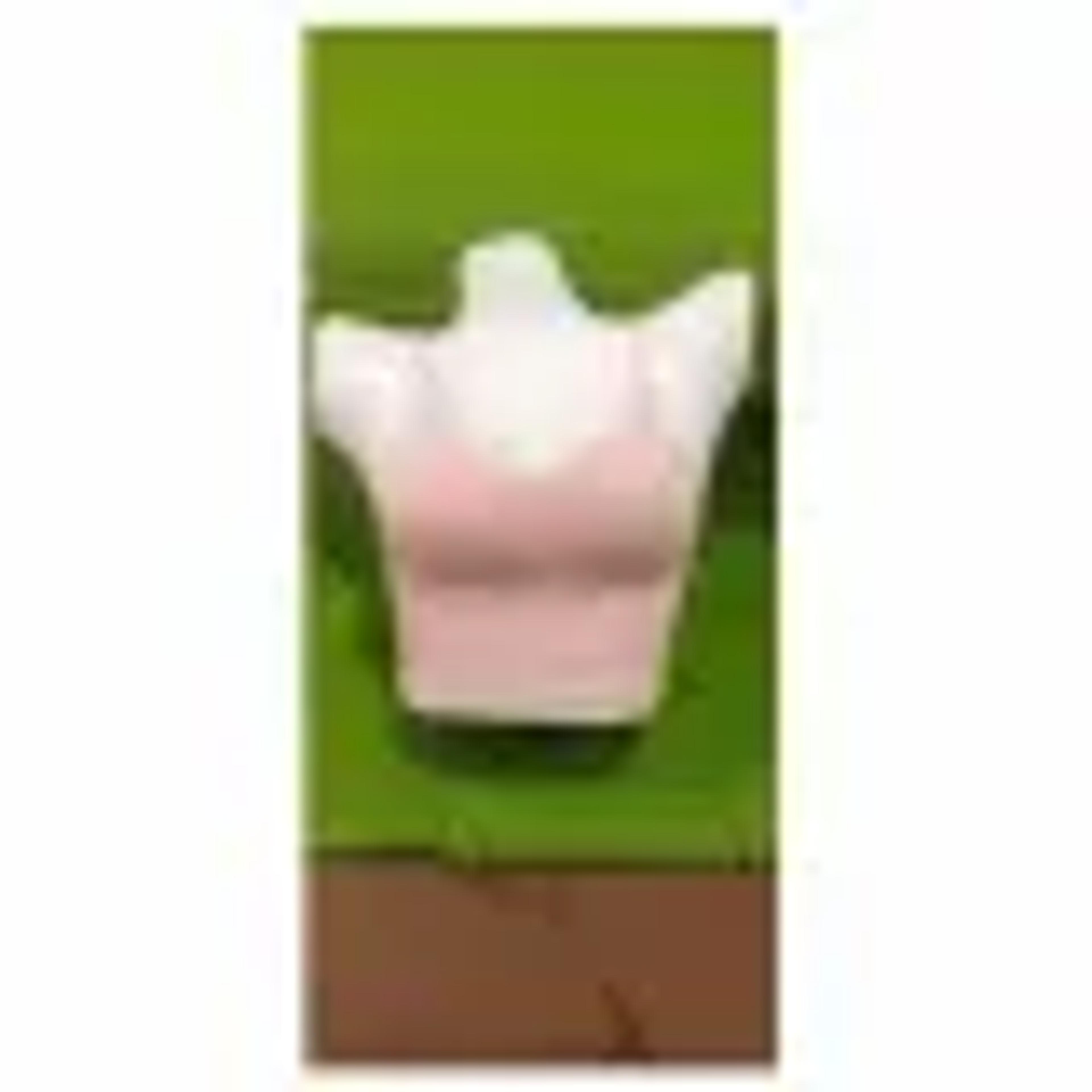 This stylish body-fit BD blouse is made from high-quality stretchable ribbed fabric for maximum comfort and a sleek look. Features thin spaghetti straps and built-in padded support (removable). Ideal for casual wear, layering, or gym use. Free size – fi image 1