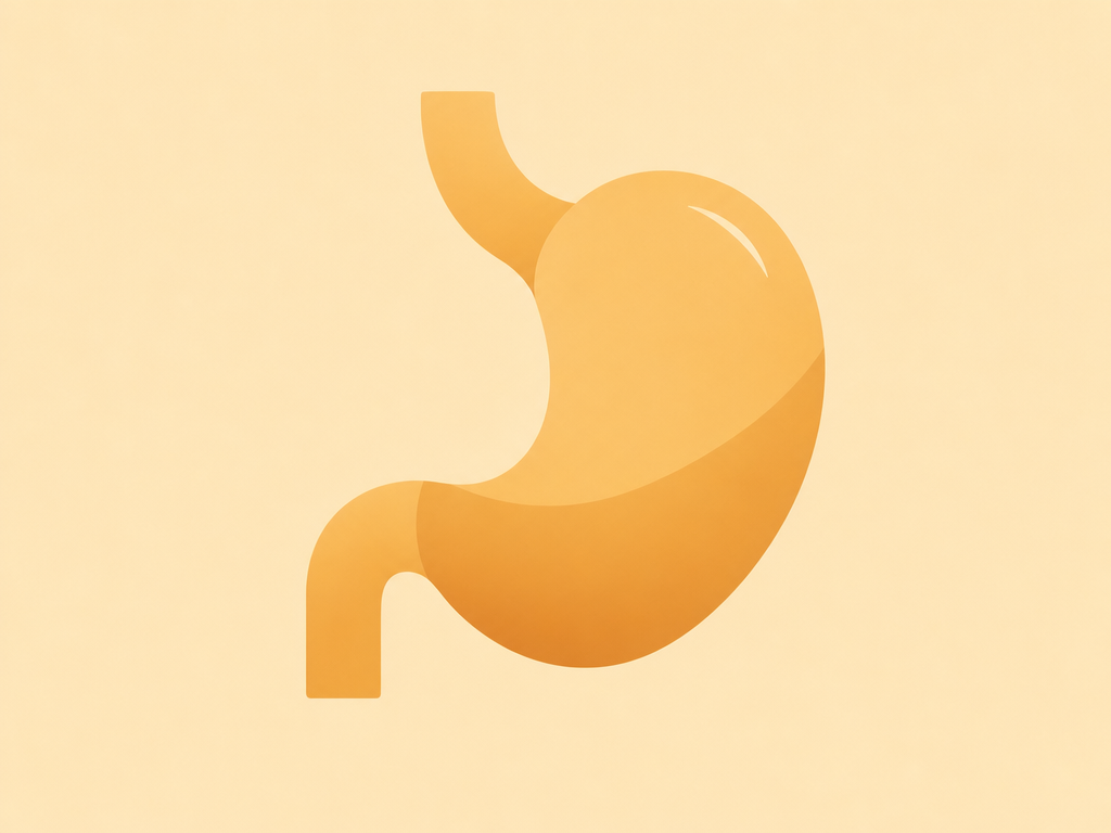 Flat-vector illustration of a stomach in heySlim's amber house style, representing Mounjaro diarrhoea and digestive side effects
