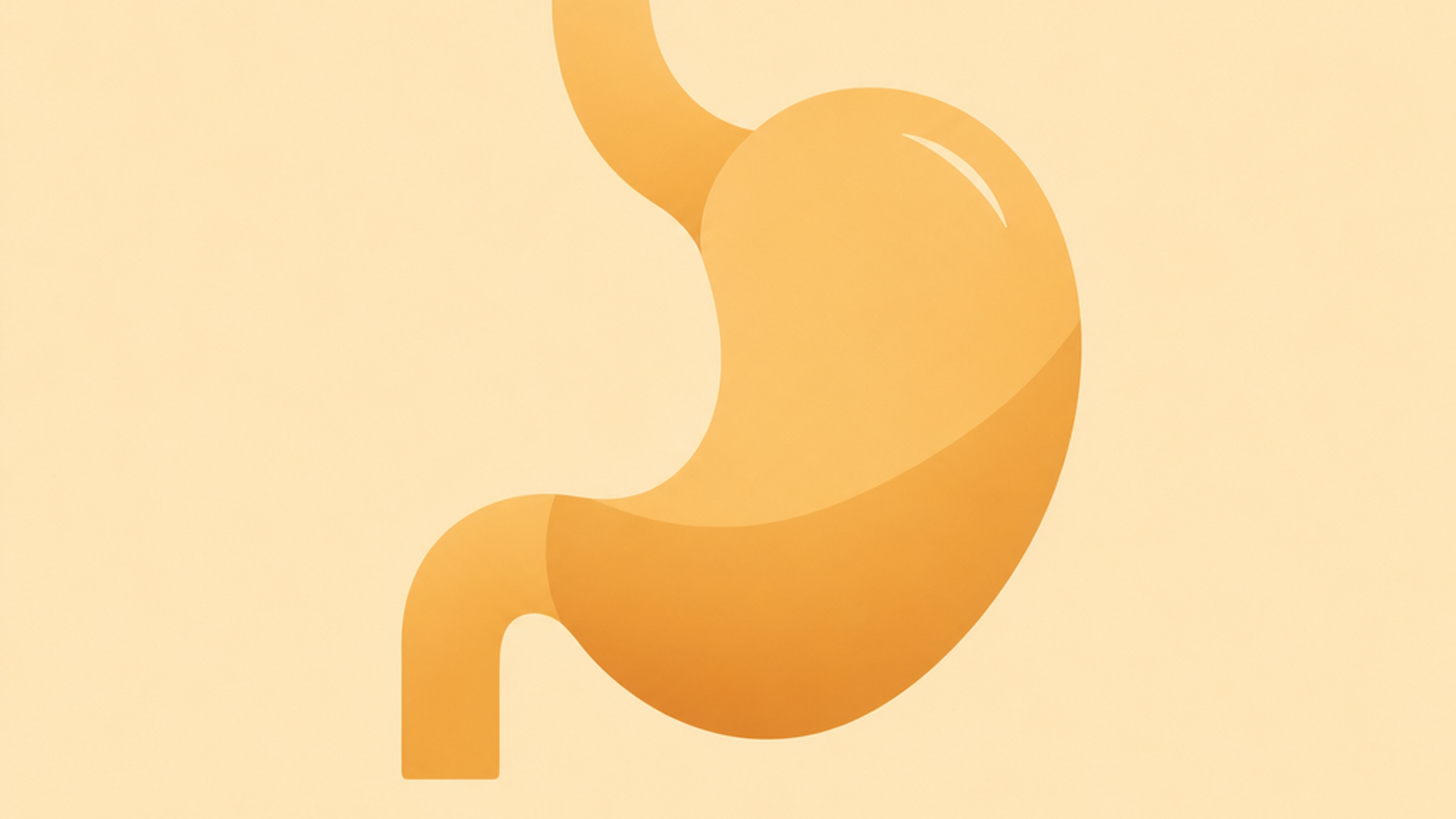 Flat-vector illustration of a stomach in heySlim's amber house style, representing Mounjaro diarrhoea and digestive side effects