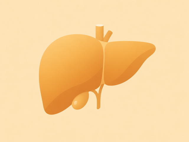 Flat-vector illustration of a human liver in warm amber tones, illustrating fatty liver symptoms in females