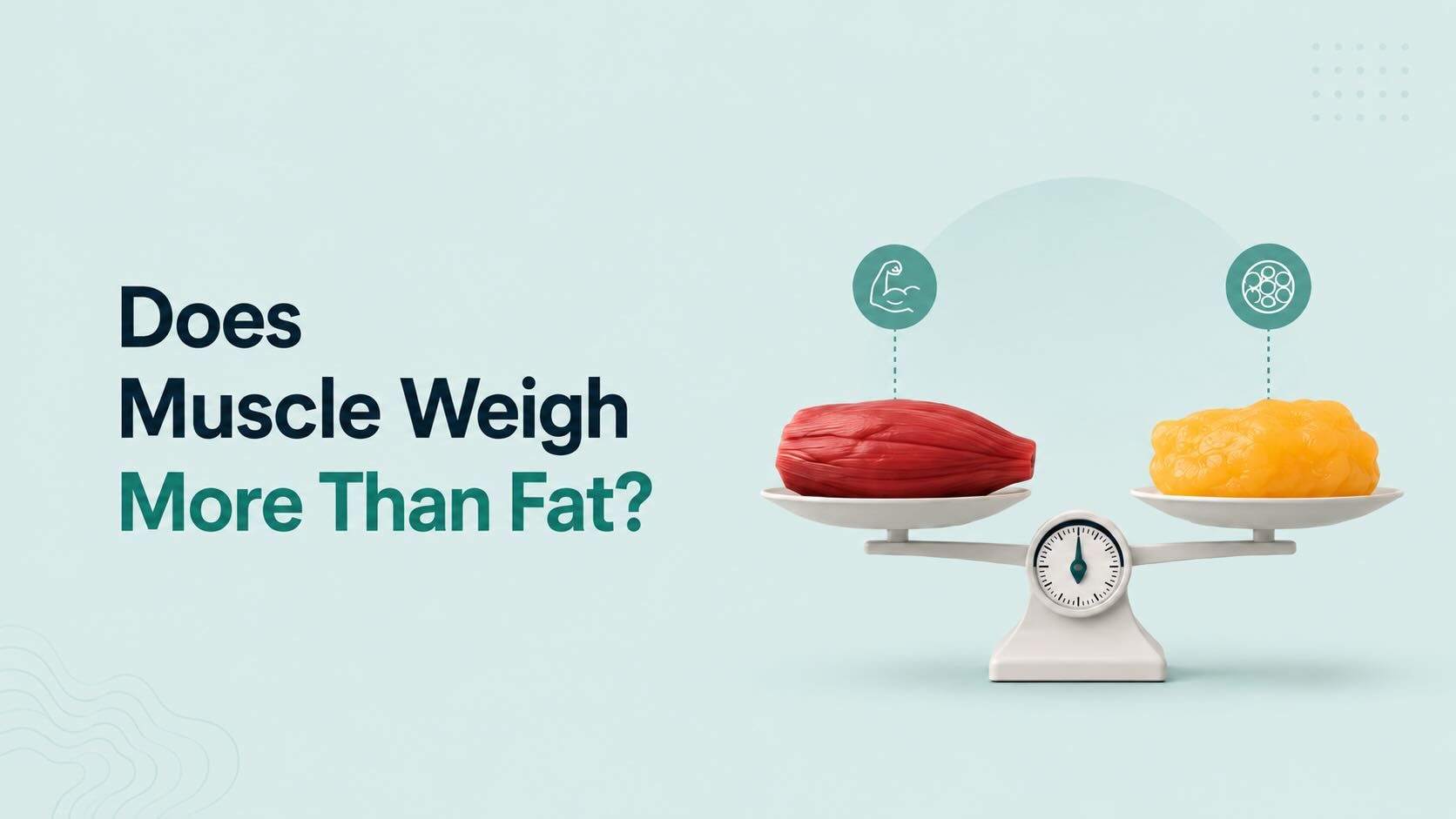 Muscle vs. fat on a weight scale