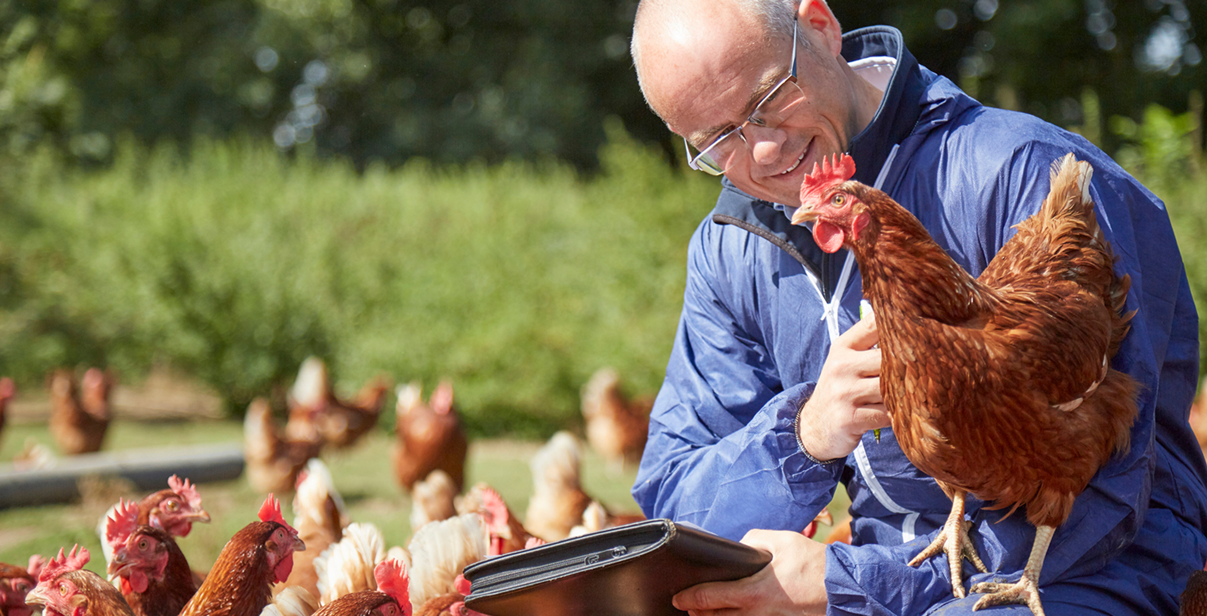 RSPCA Assured listing