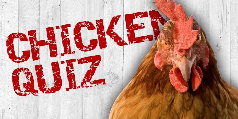 Take the Chicken Quiz