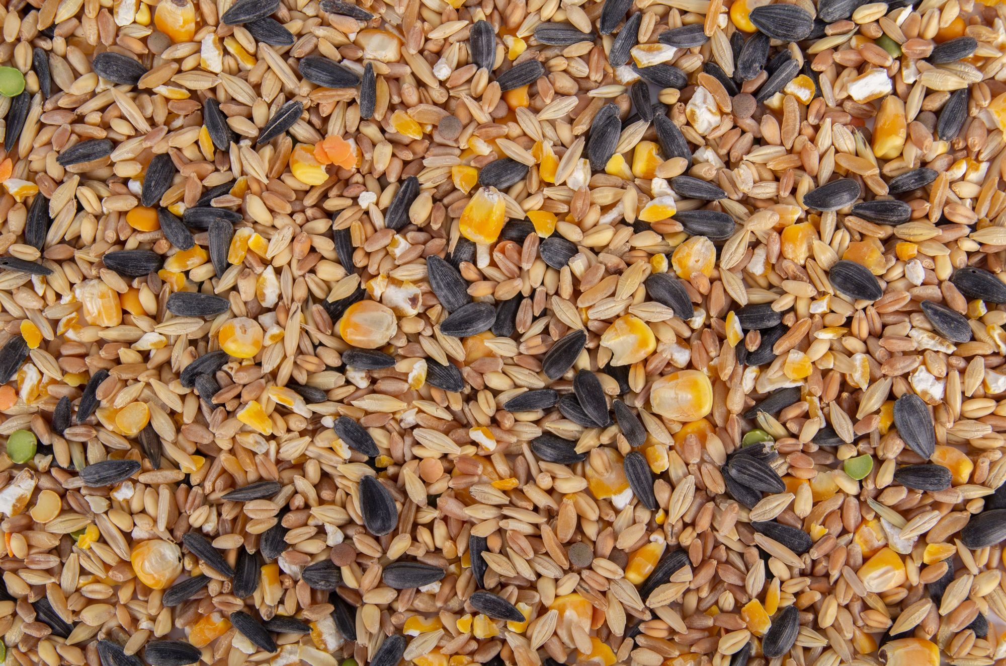Whole Grain Scratch Grains