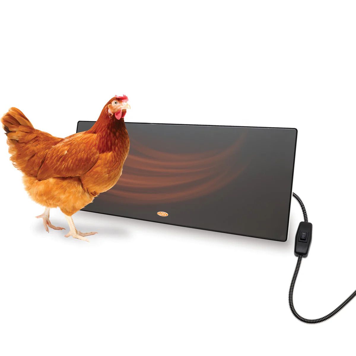 Hot Topic: Henhouse Heaters