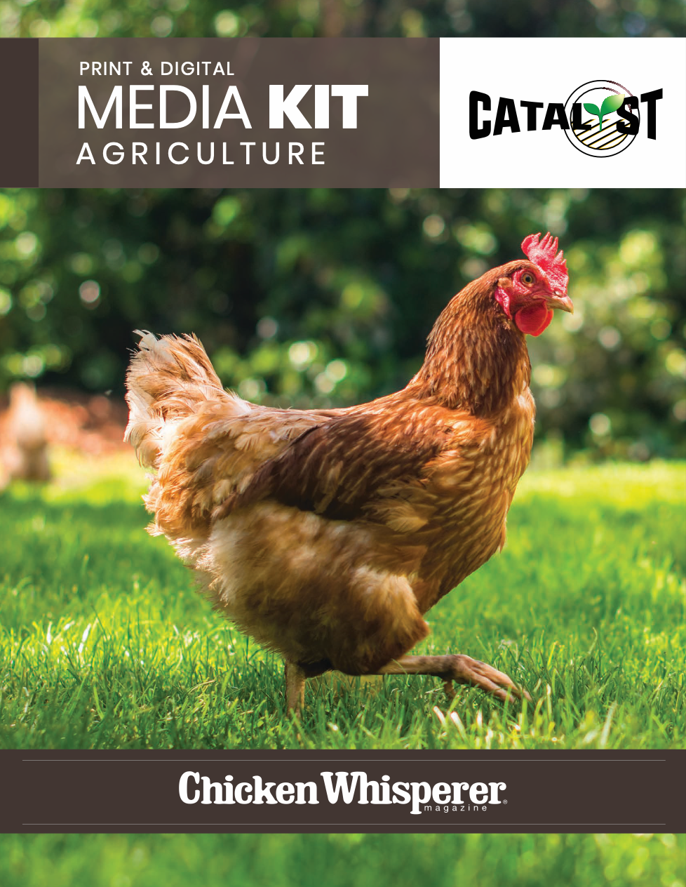 Chicken Whisperer Magazine Media Kit, Chicken Whisperer Media Kit, Chicken Whisperer Magazine Advertising, Chicken Whisperer Advertising