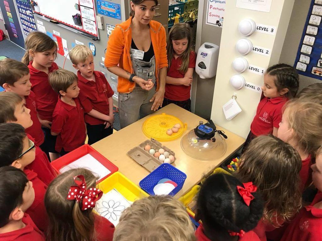 From Coop to Classroom