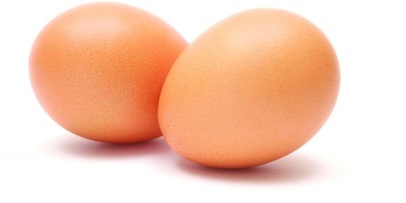 Pastured Egg Performance: Delaware vs. Ameraucana