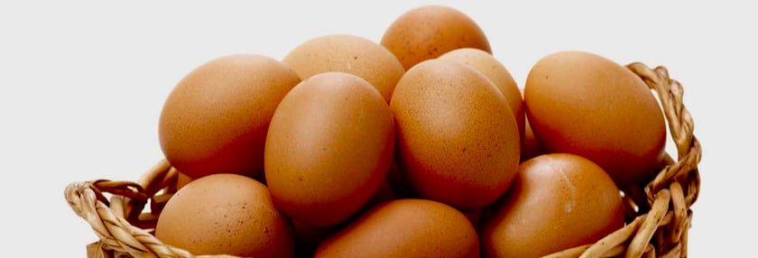 Food Network™ Novelty Egg Turner
