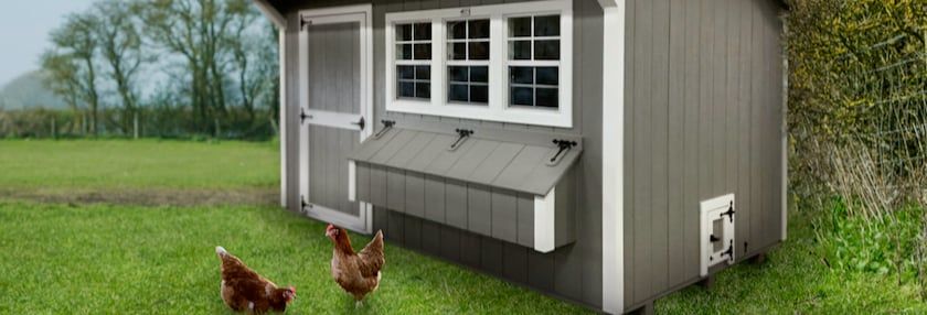 High Quality Chicken Coops
