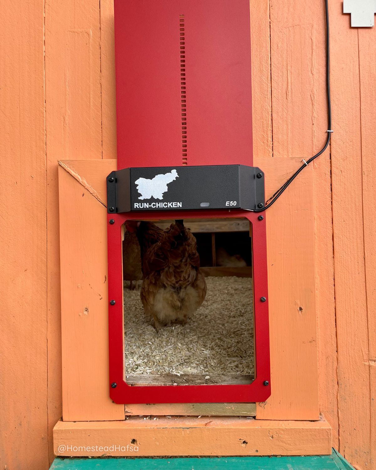 Run-Chicken Solar Automatic Door