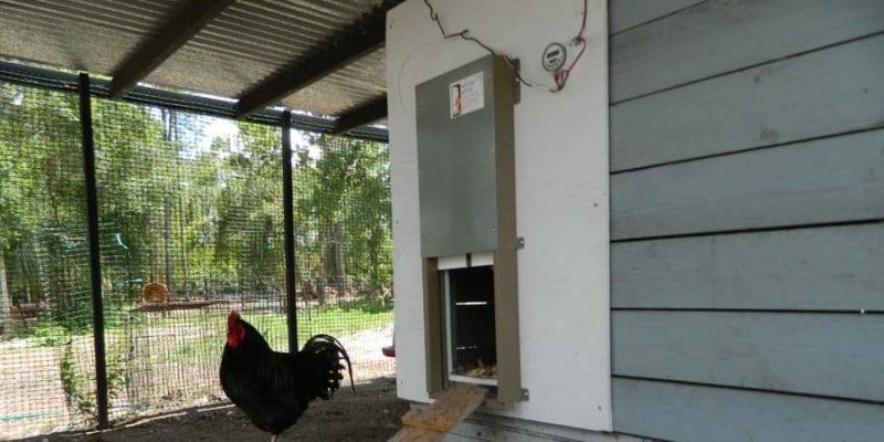 Poultry Butler Coop Door Opener
