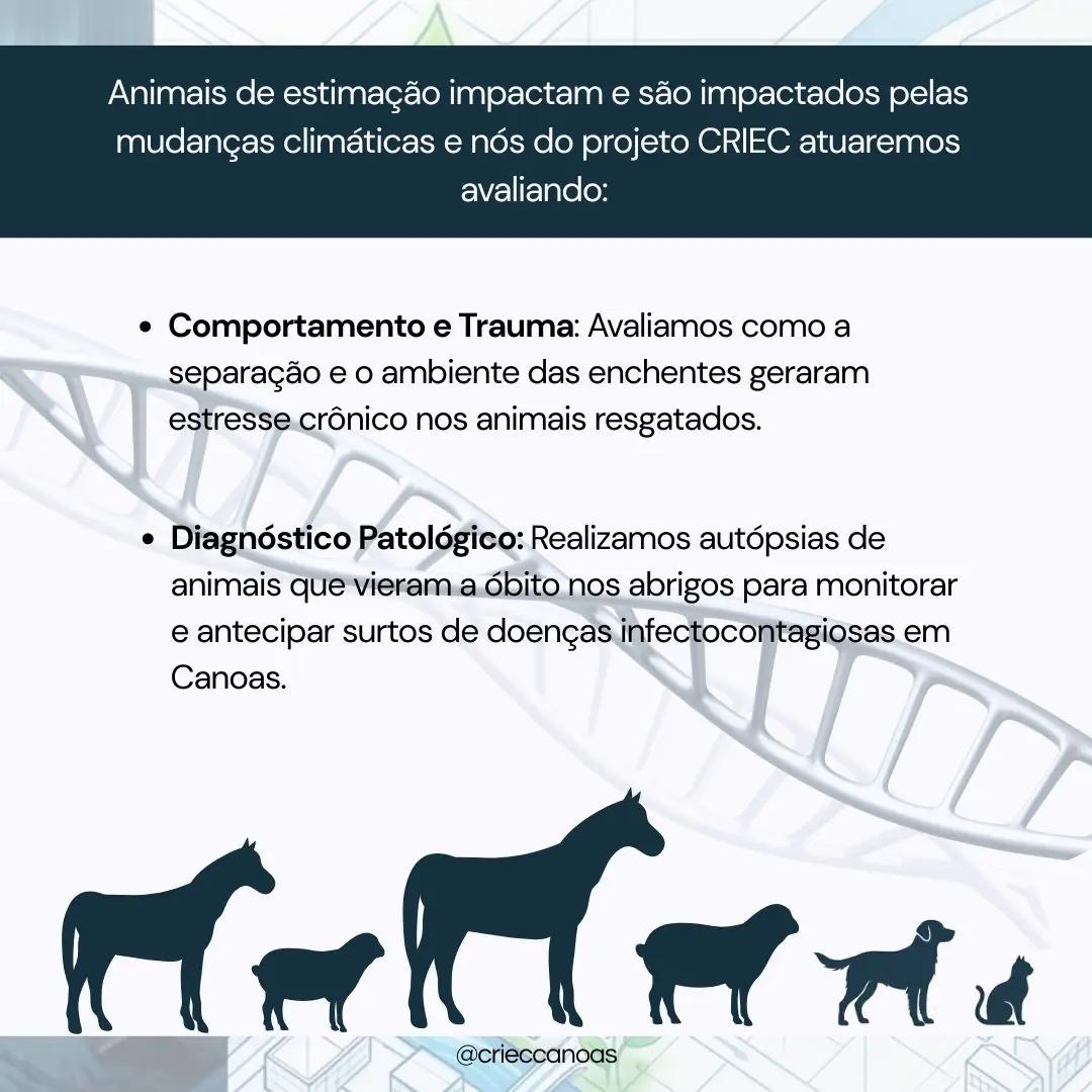 Nossos Companheiros: Vítimas e Vetores - 2