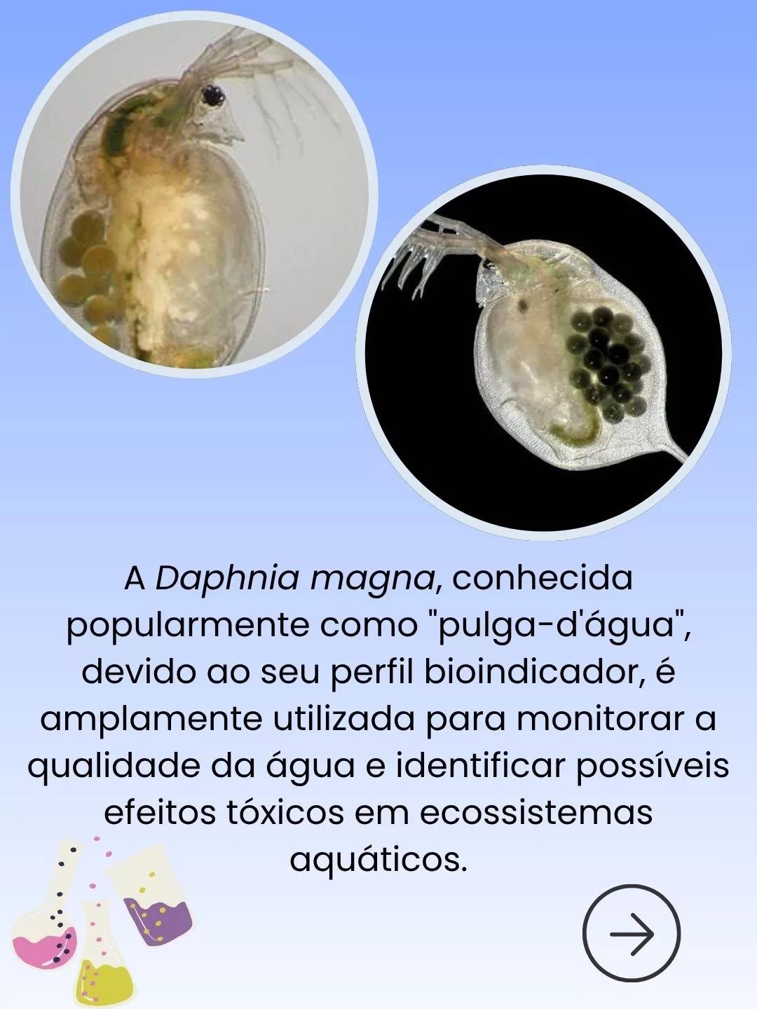 Pequenos Organismos, Grandes Respostas: Bioindicadores no CRIEC-Canoas - 2