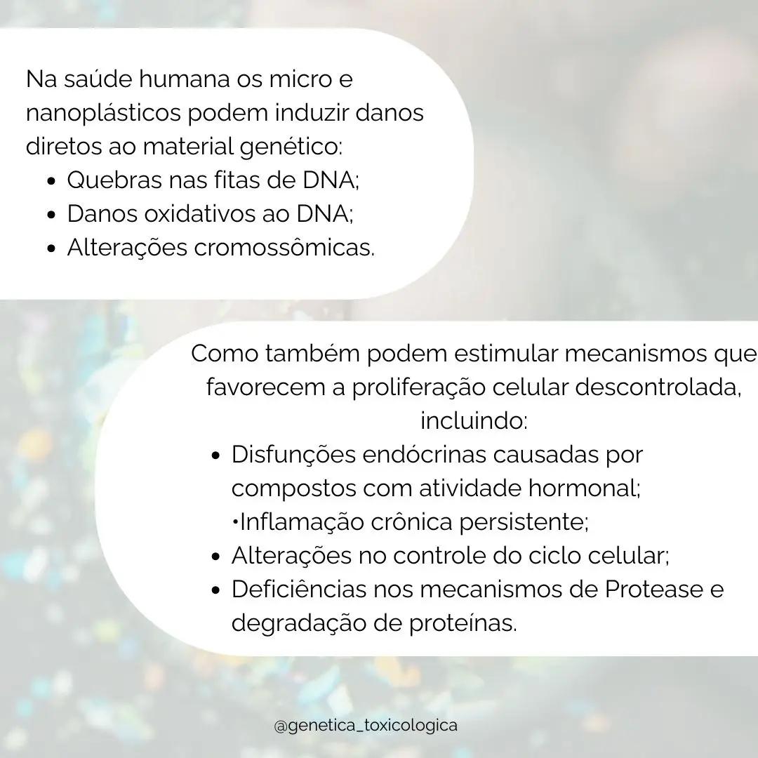 O Impacto dos Microplásticos na Saúde: Riscos e Consequências da Exposição - 8