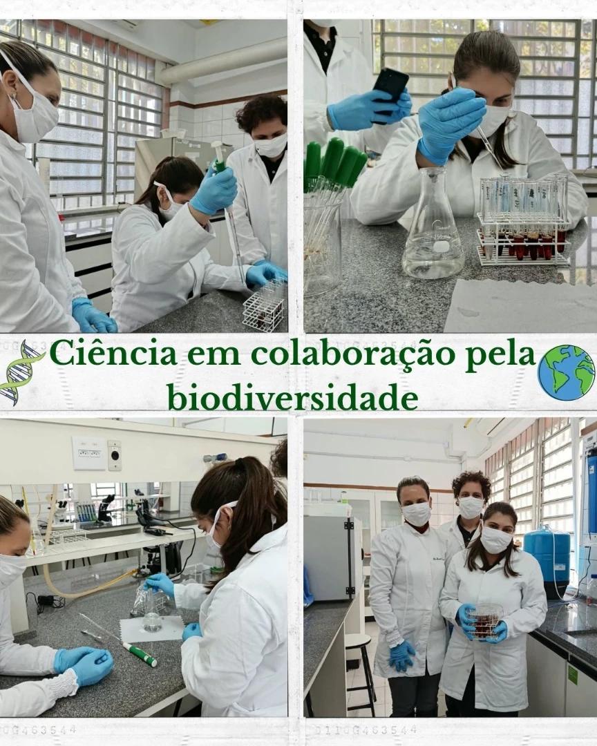 Pesquisa sobre Microplásticos em Tuco-Tucos