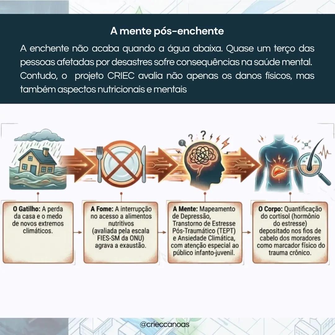 Cicatrizes Celulares: O Impacto do Desastre no Nosso DNA - 4