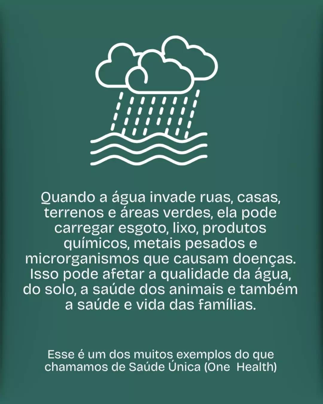 Saúde Única: A Conexão entre Pessoas, Animais e Meio Ambiente - 2