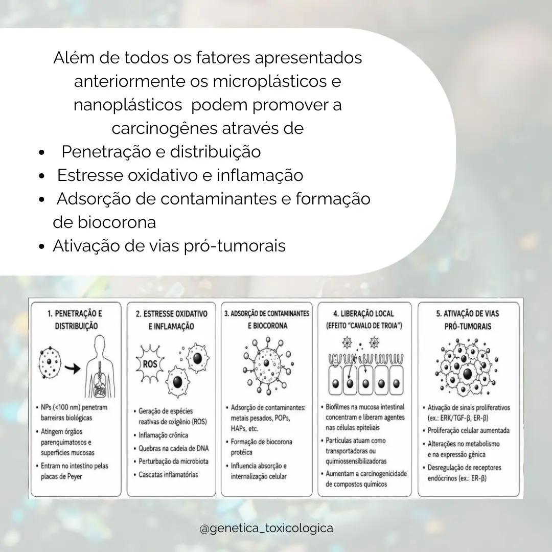 O Impacto dos Microplásticos na Saúde: Riscos e Consequências da Exposição - 9