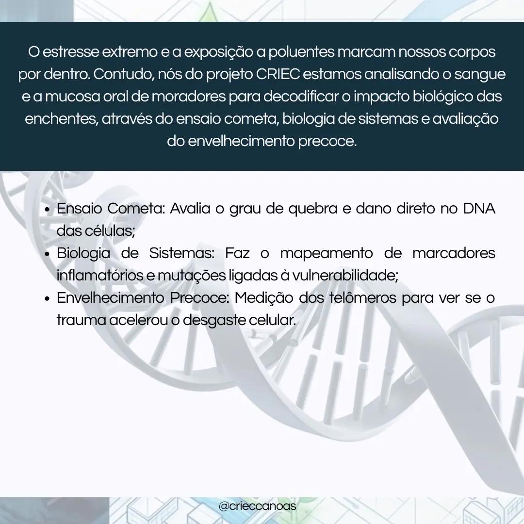 Cicatrizes Celulares: O Impacto do Desastre no Nosso DNA - 2