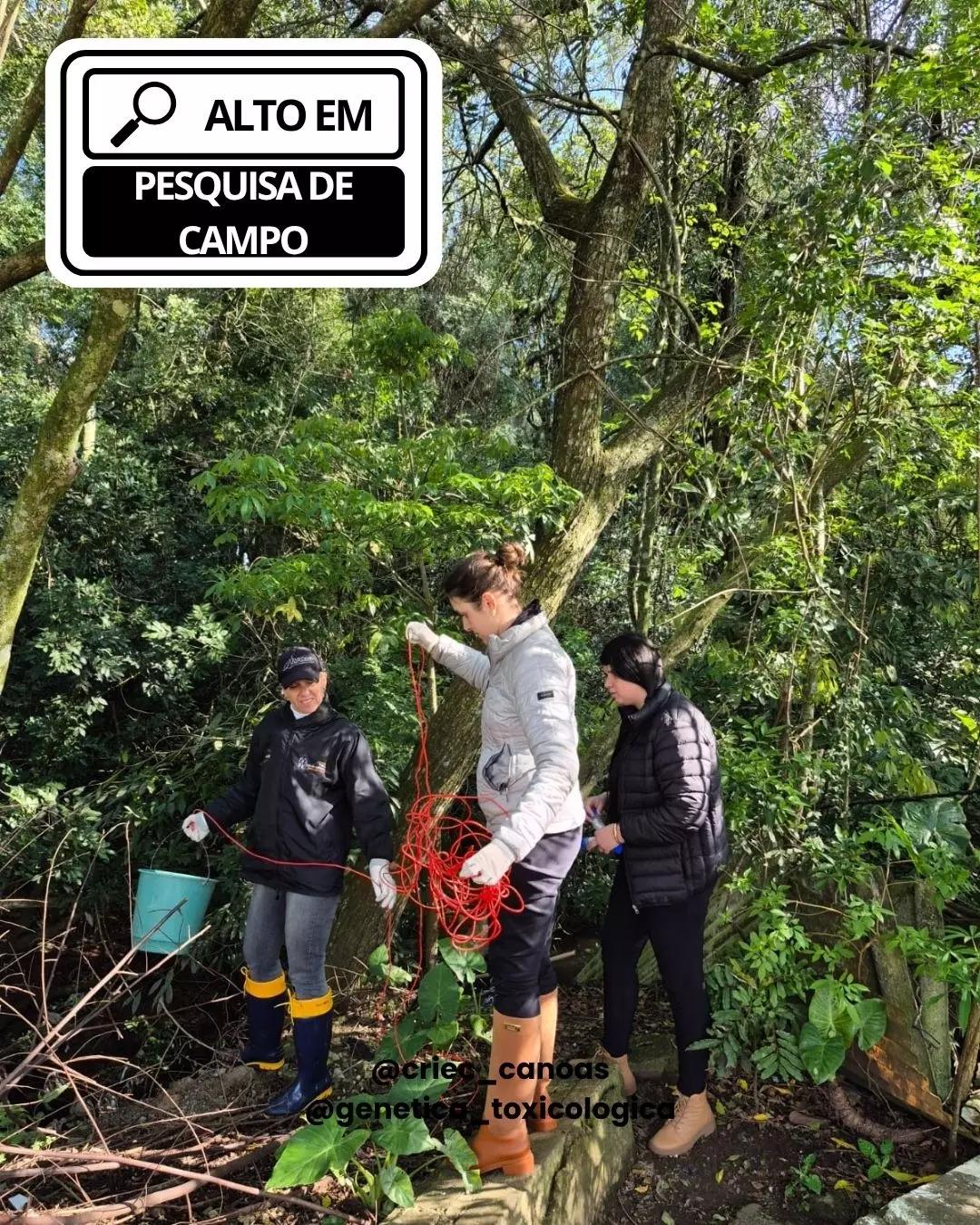 ALTO TEOR EM PESQUISA CIENTÍFICA - 3
