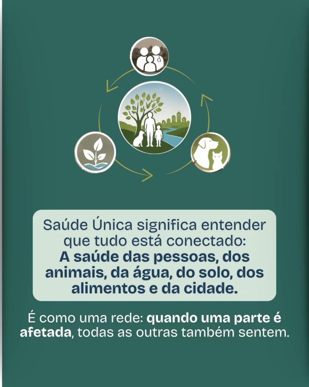CRIEC Canoas Investiga Impactos das Enchentes nos Bairros - 4
