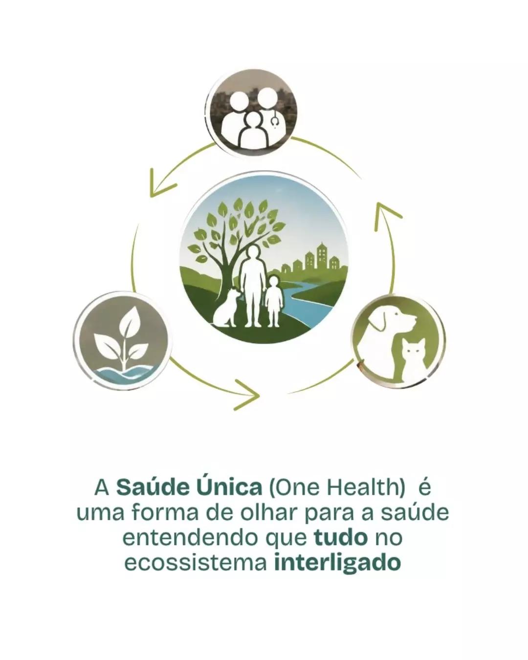 Saúde Única: A Conexão entre Pessoas, Animais e Meio Ambiente - 3