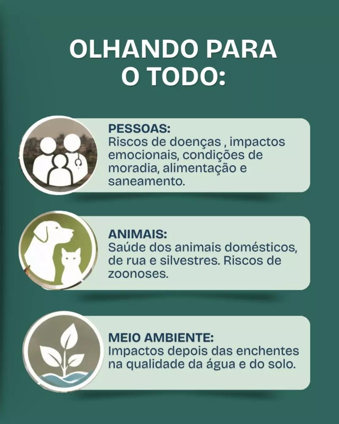 Saúde Única: A Conexão entre Pessoas, Animais e Meio Ambiente - 4