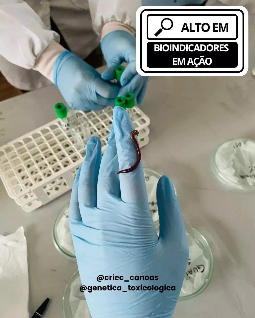 ALTO TEOR EM PESQUISA CIENTÍFICA - 4