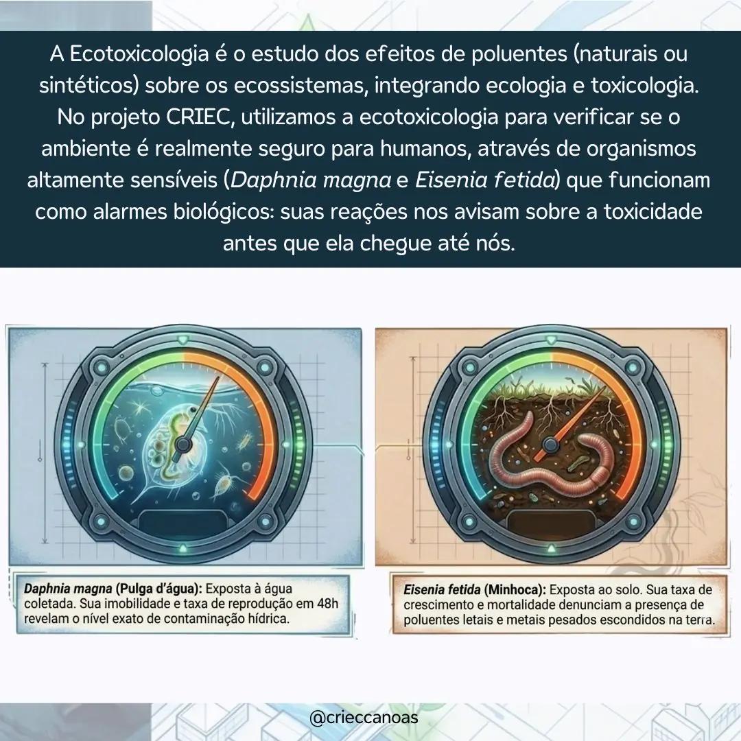 O que a água levou e os perigos invisíveis que ela deixou - 3