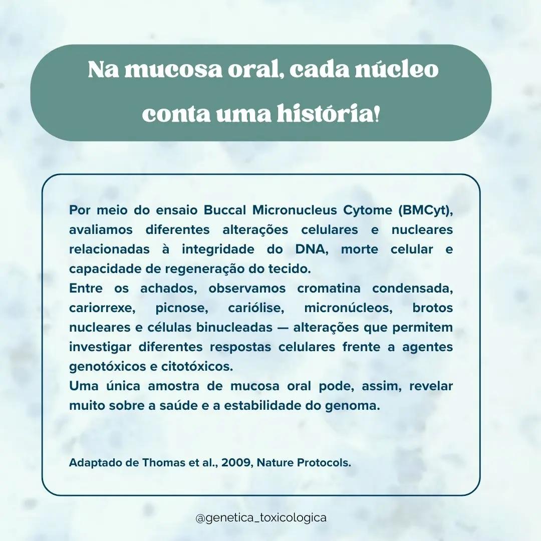 Tipos celulares encontrados na mucosa oral - 2