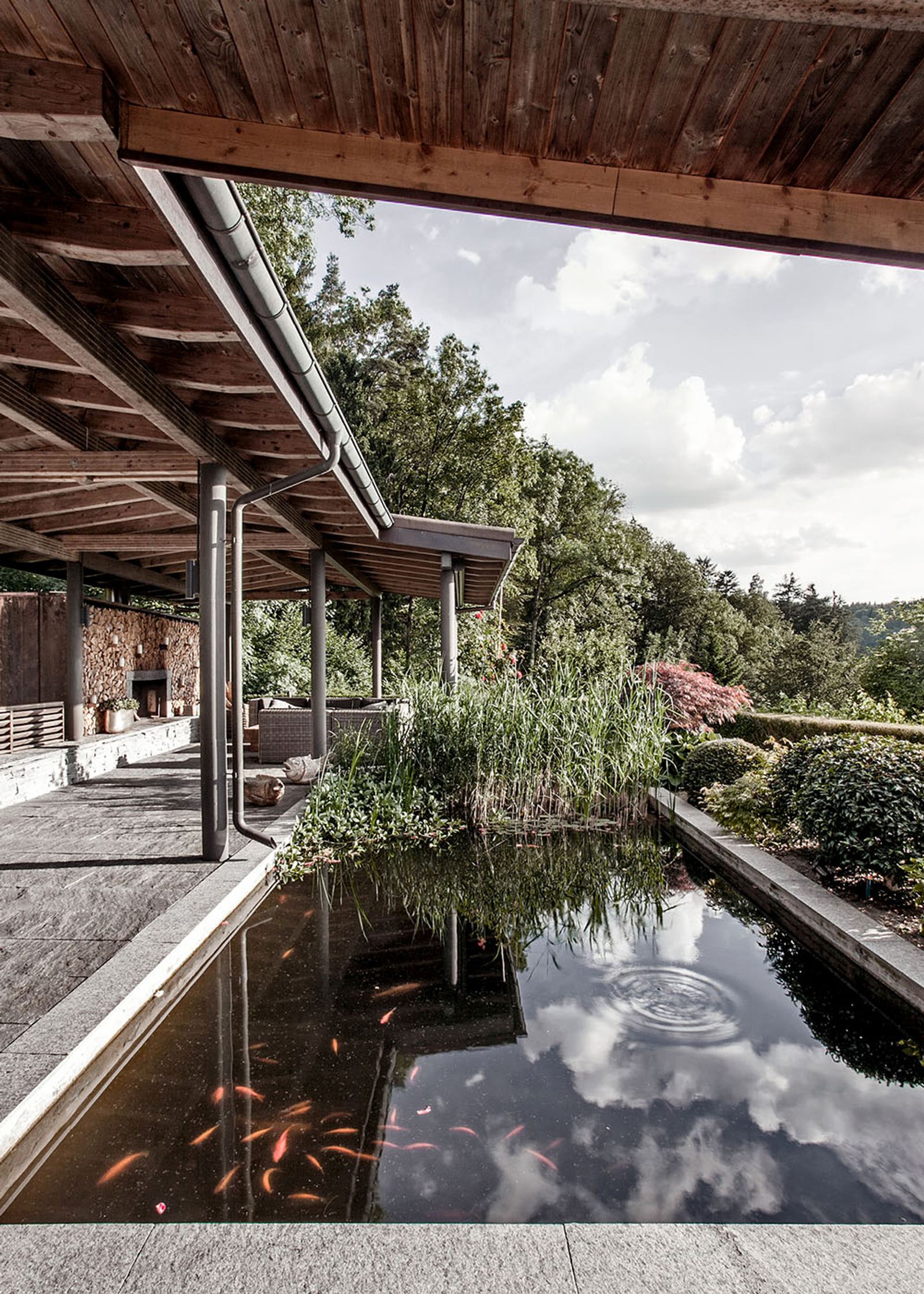 Pond with fish below the timber roof