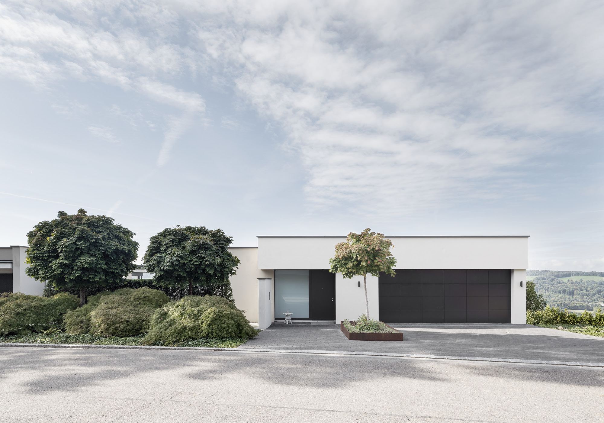 Driveway with garage and globe trees – Single-family house in Uitikon