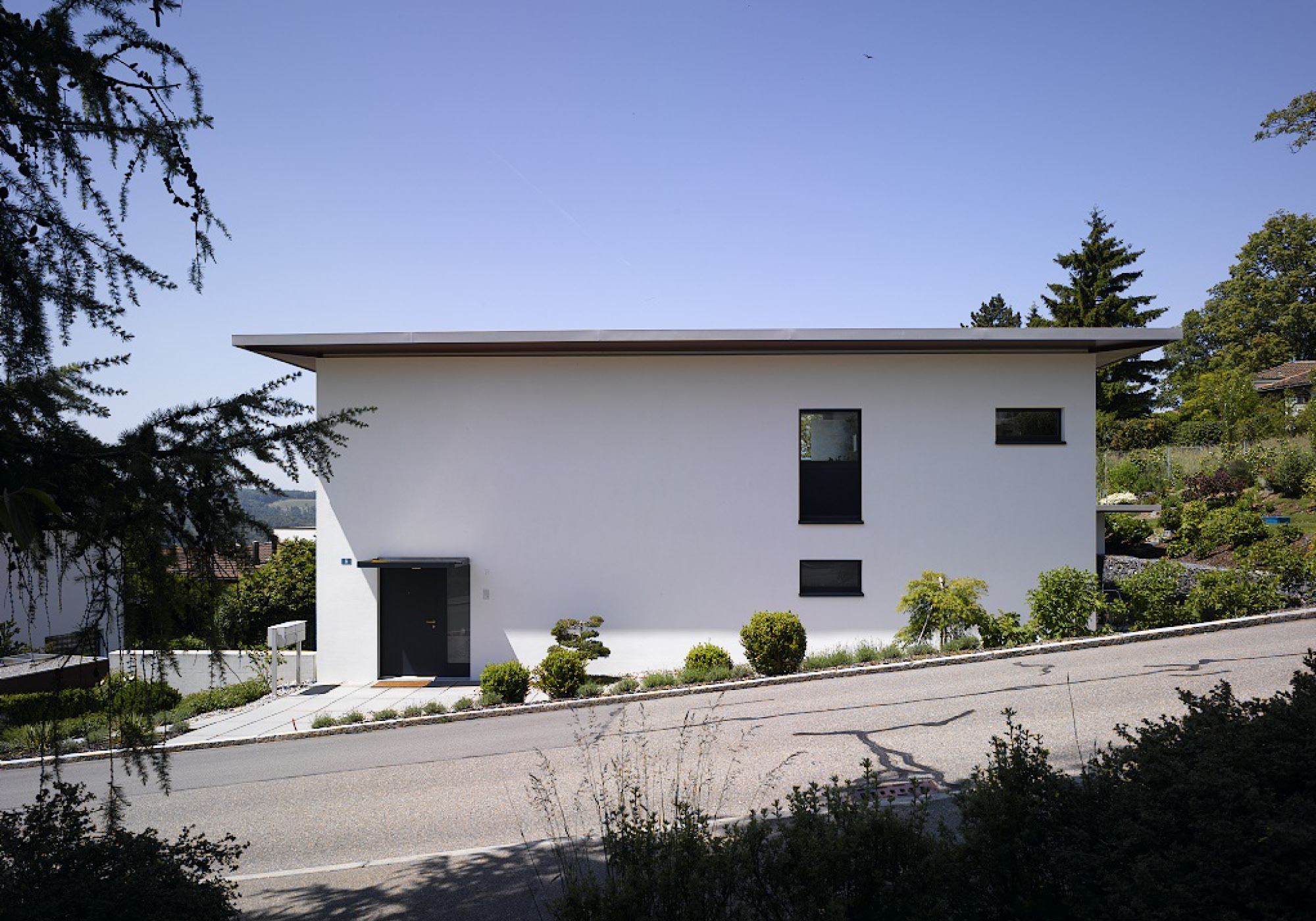 White house with mono-pitch roof by the street – Single-family house in Uitikon