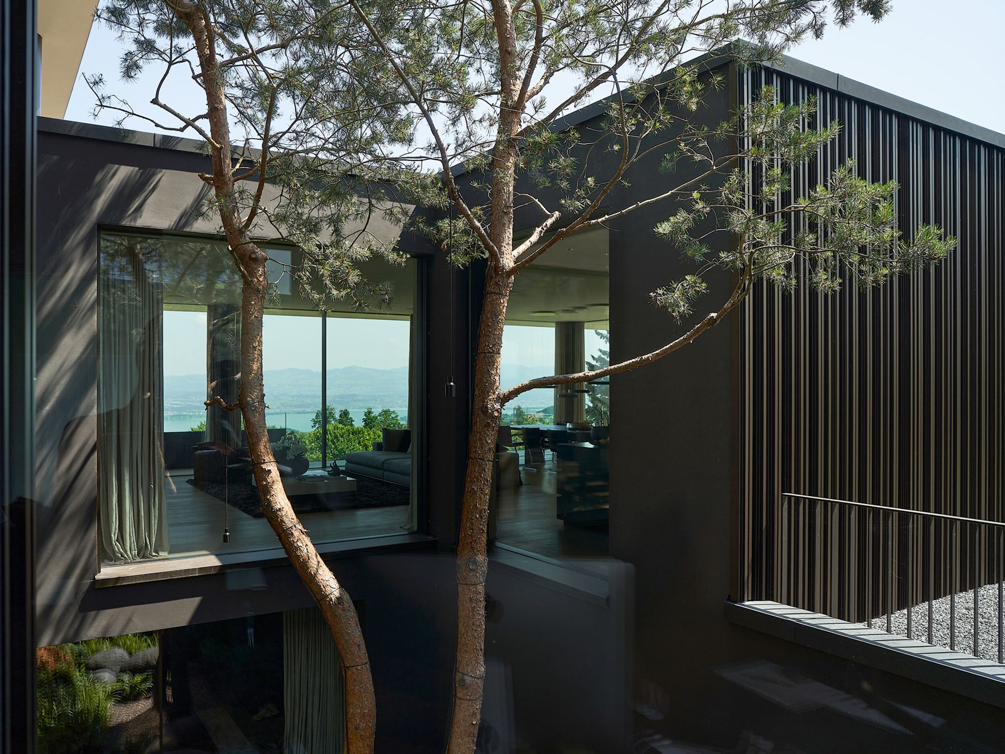 Courtyard with pine tree in front of dark timber facade – Single-family house in Schindellegi