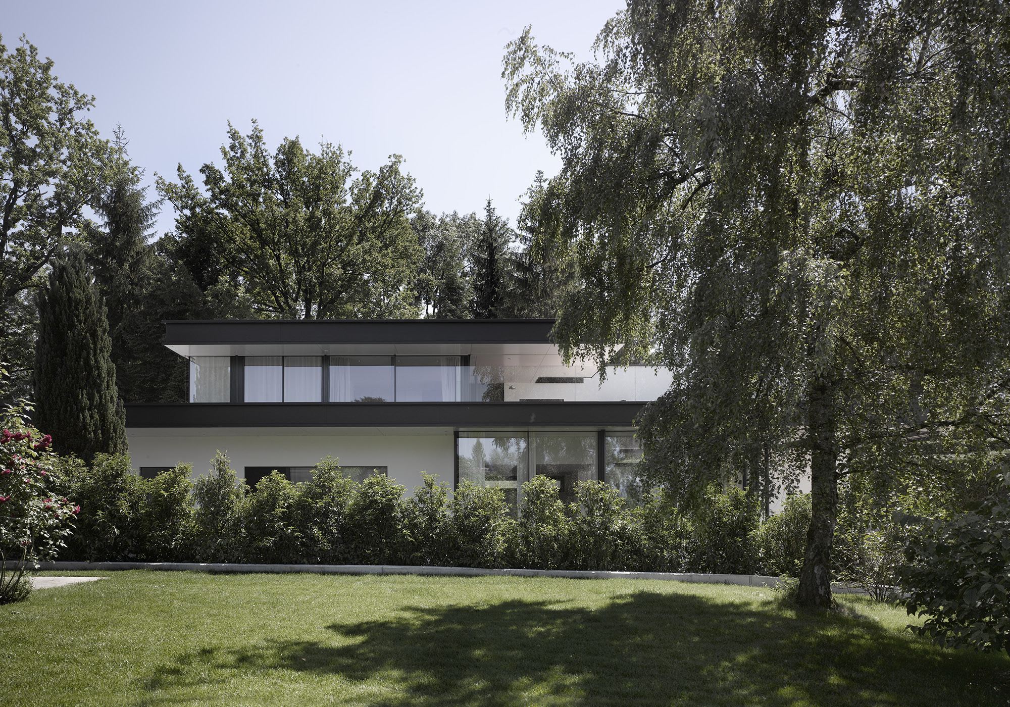 Flat-roofed house behind hedge and mature trees – Single-family house in Lachen