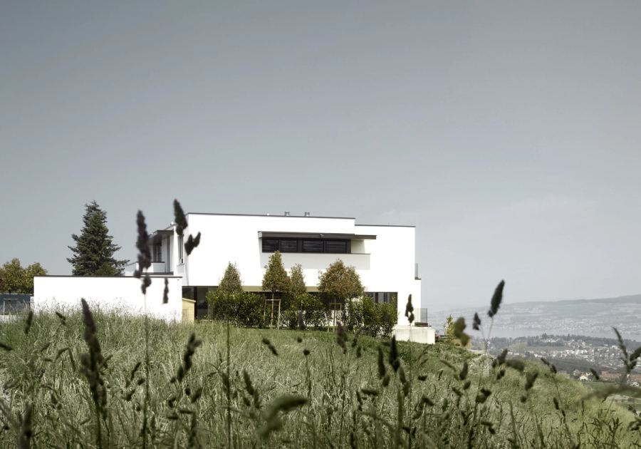 Single-family houses, Project 264, Schindellegi – meier architekten