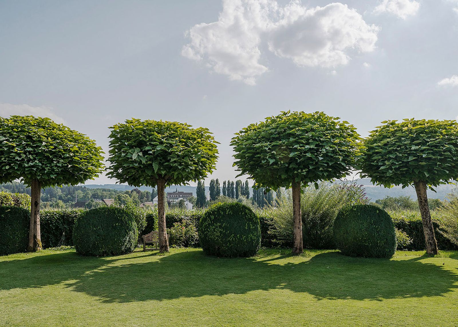 Lawn with globe trees and box balls