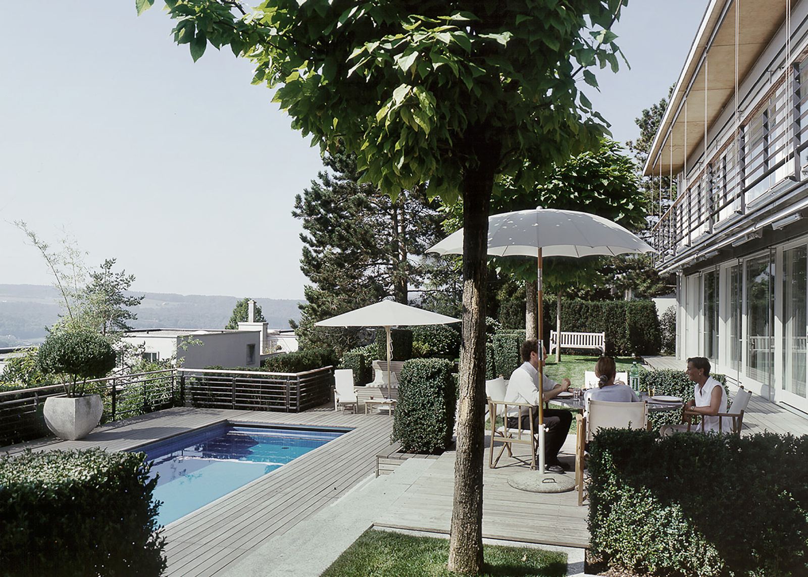 Pool with seating area beneath the tree