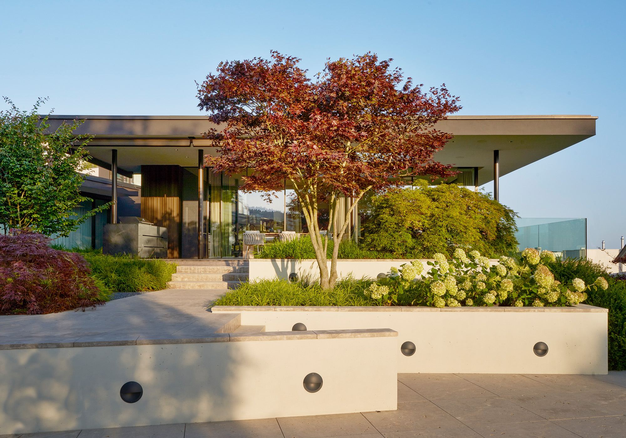 Garden with red maple and hydrangeas in front of the flat-roofed house – Single-family house in Schindellegi