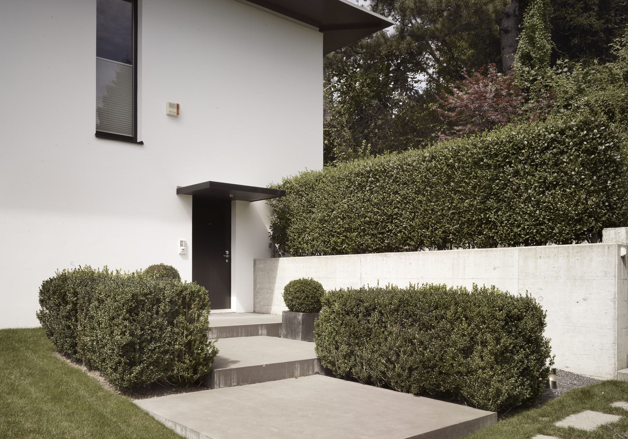 Entrance with concrete steps between box hedges – Interiors and landscape, Uitikon